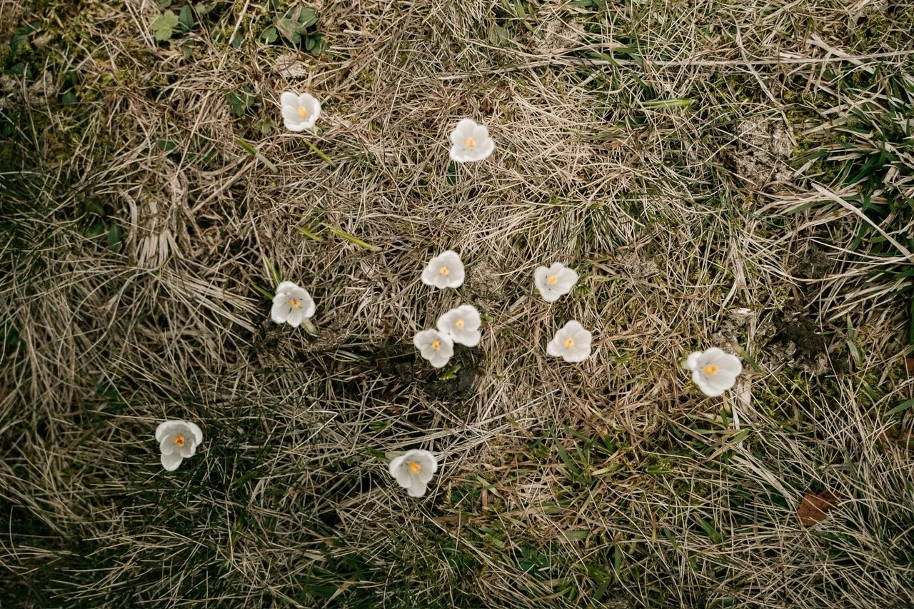 Groß (_ATN4059).jpeg