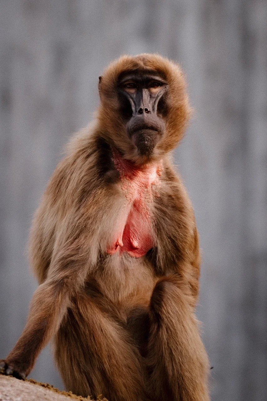 Groß (_2316244-2).jpeg