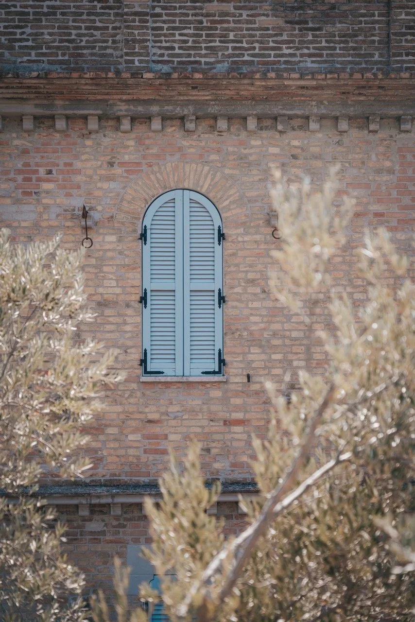 Groß (AD66E444-E065-400F-BF16-E4CD310561D9).jpeg