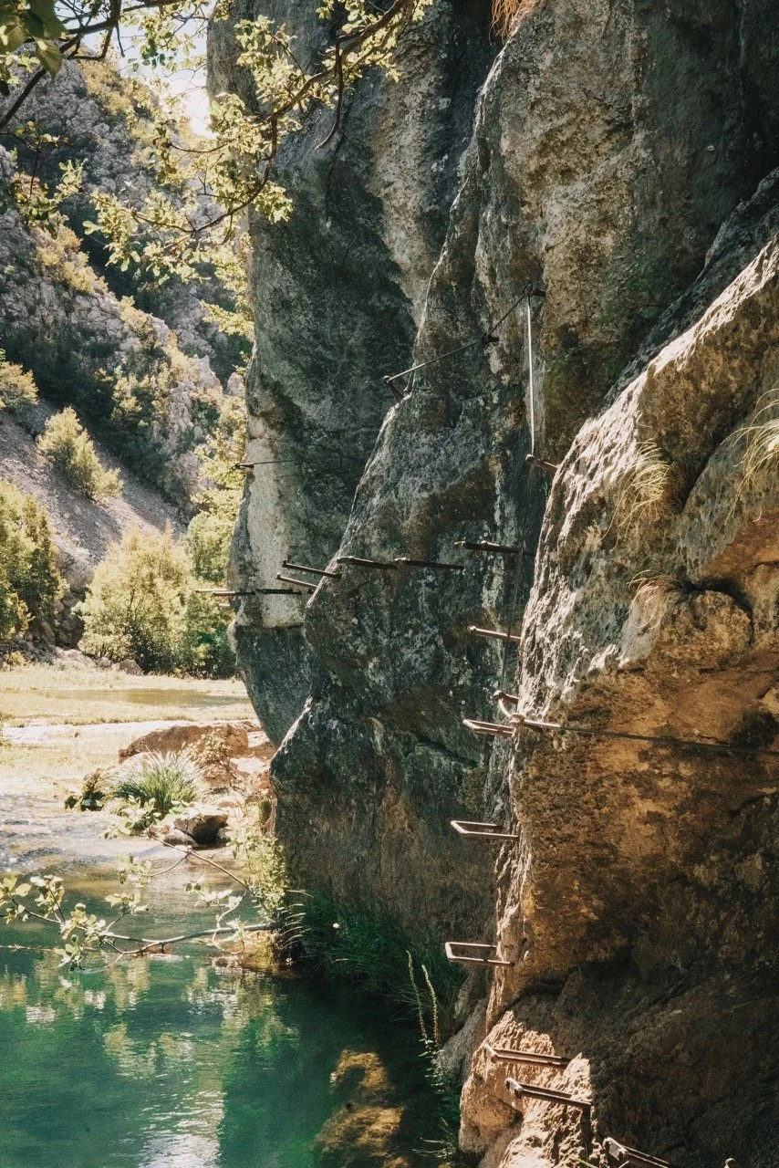 Groß (_DSC8533).jpeg