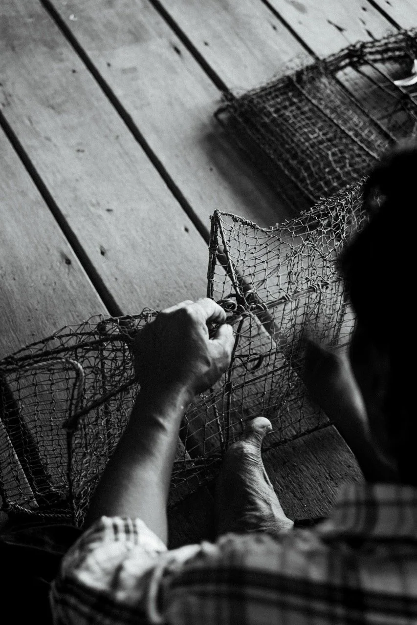 Groß (23106401).jpeg