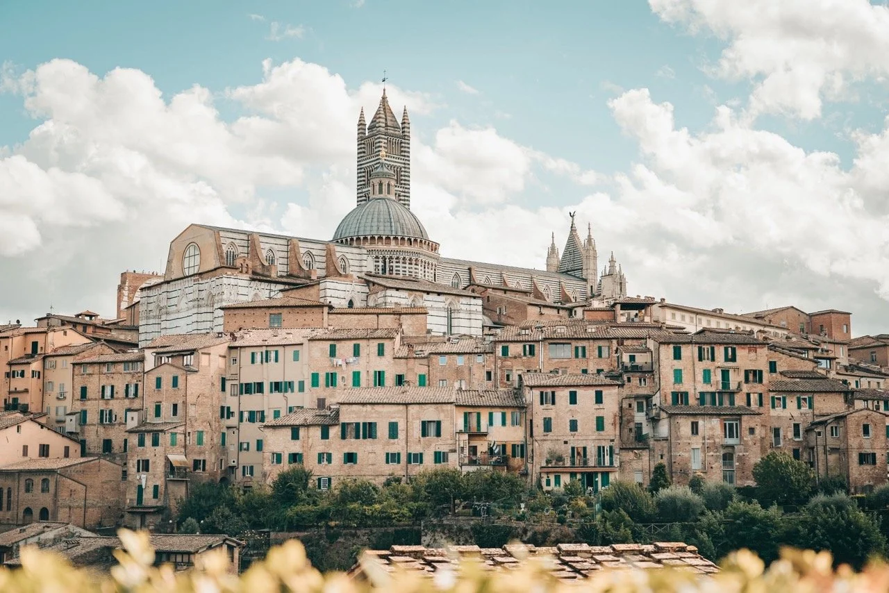 Groß (4C52836B-A718-40B5-BB62-F23D3C952DE8).jpeg