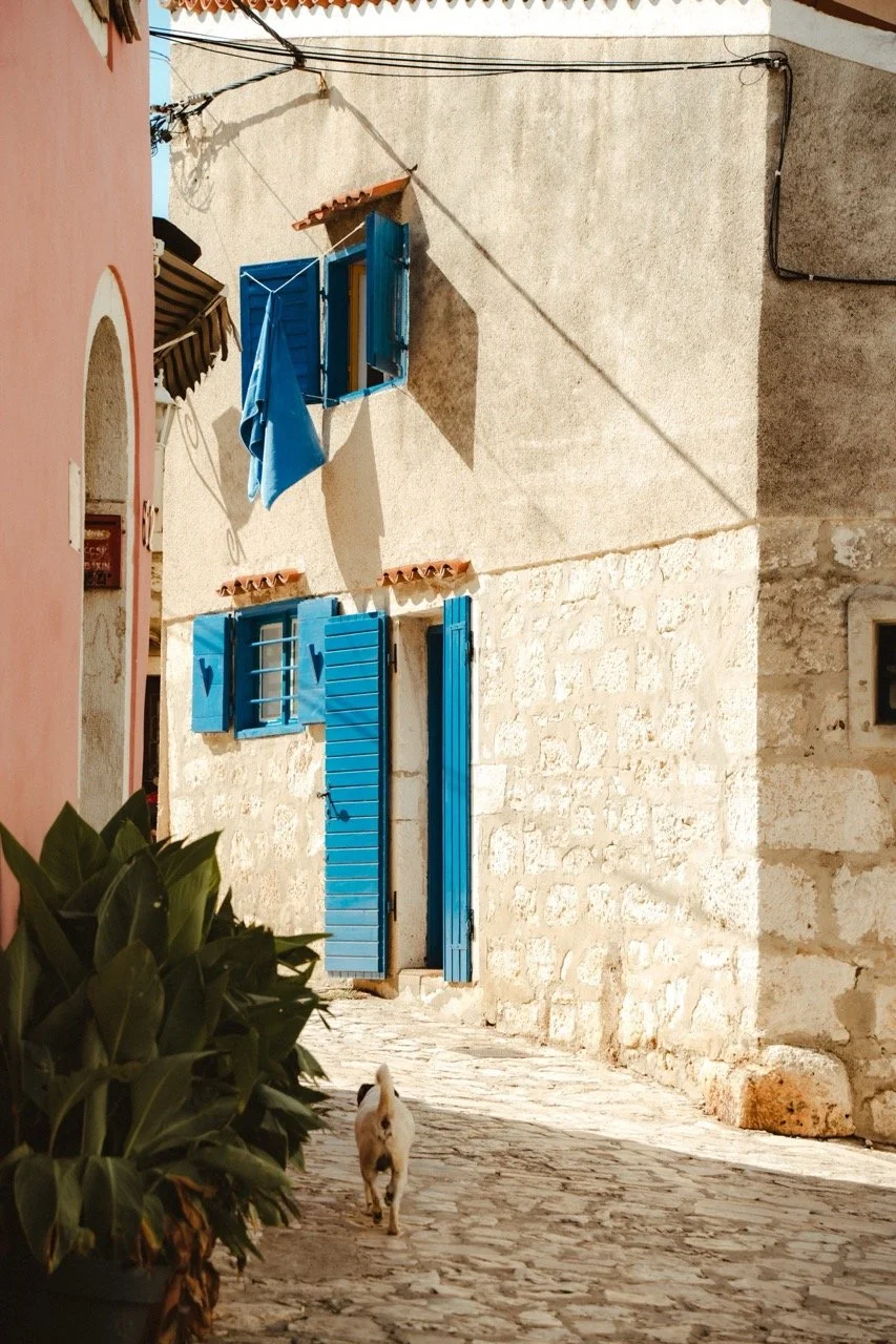 Groß (_2319699).jpeg