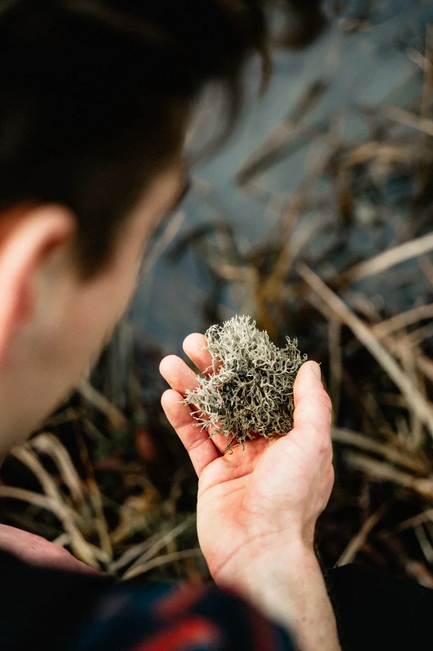 Groß (ATN08098).jpeg