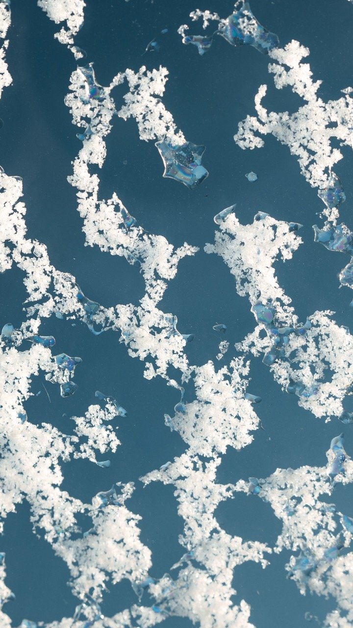 Groß (ATN07787).jpeg