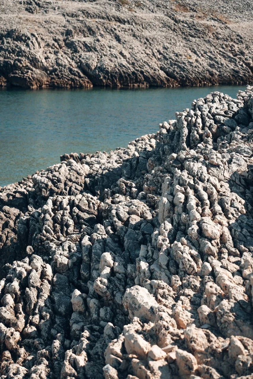 Groß (ATN04903).jpeg