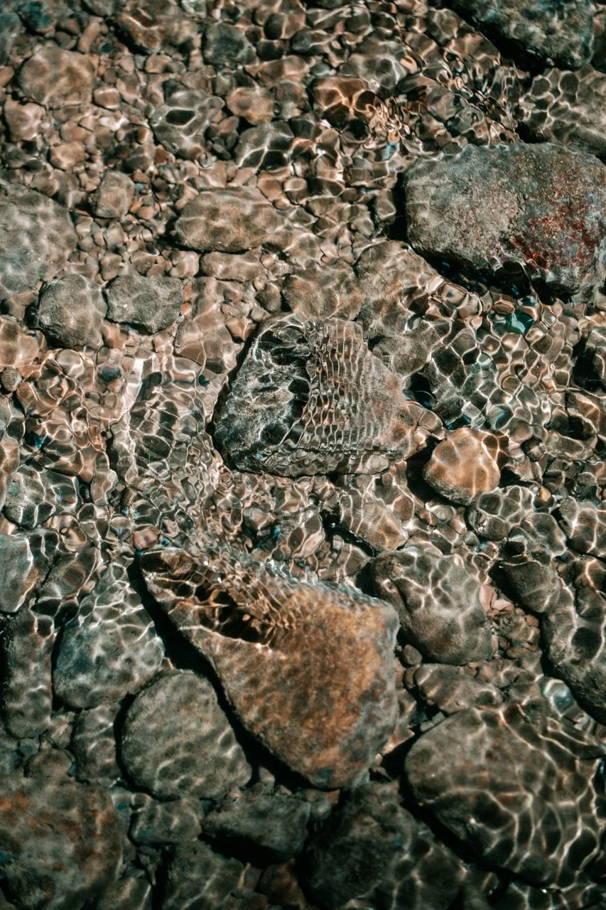 Groß (23109953).jpeg