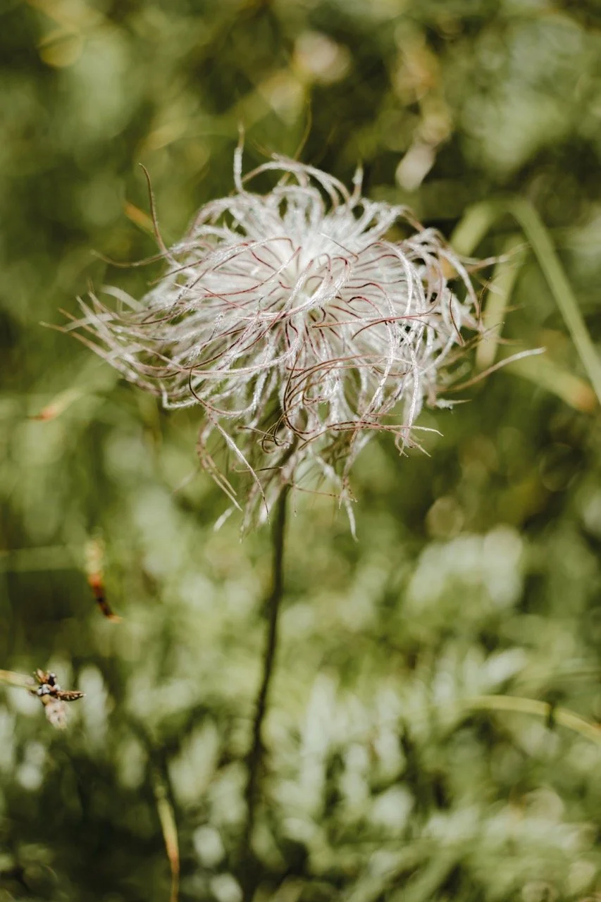 Groß (_2312692).jpeg