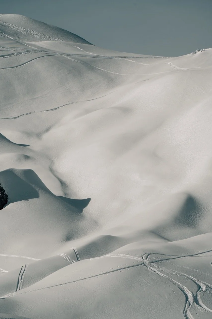 Groß (AMT04398).jpeg