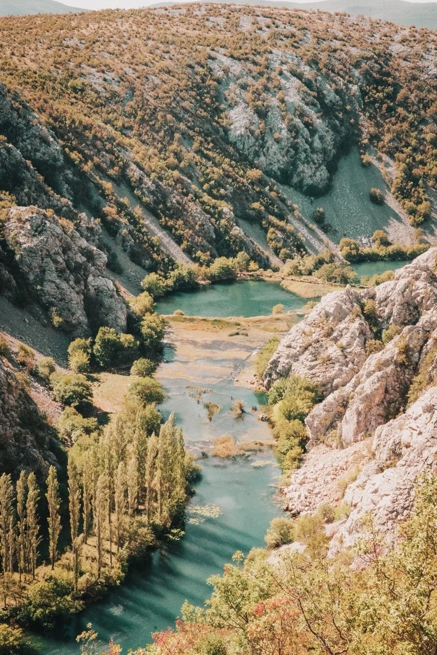 Groß (_DSC8478).jpeg