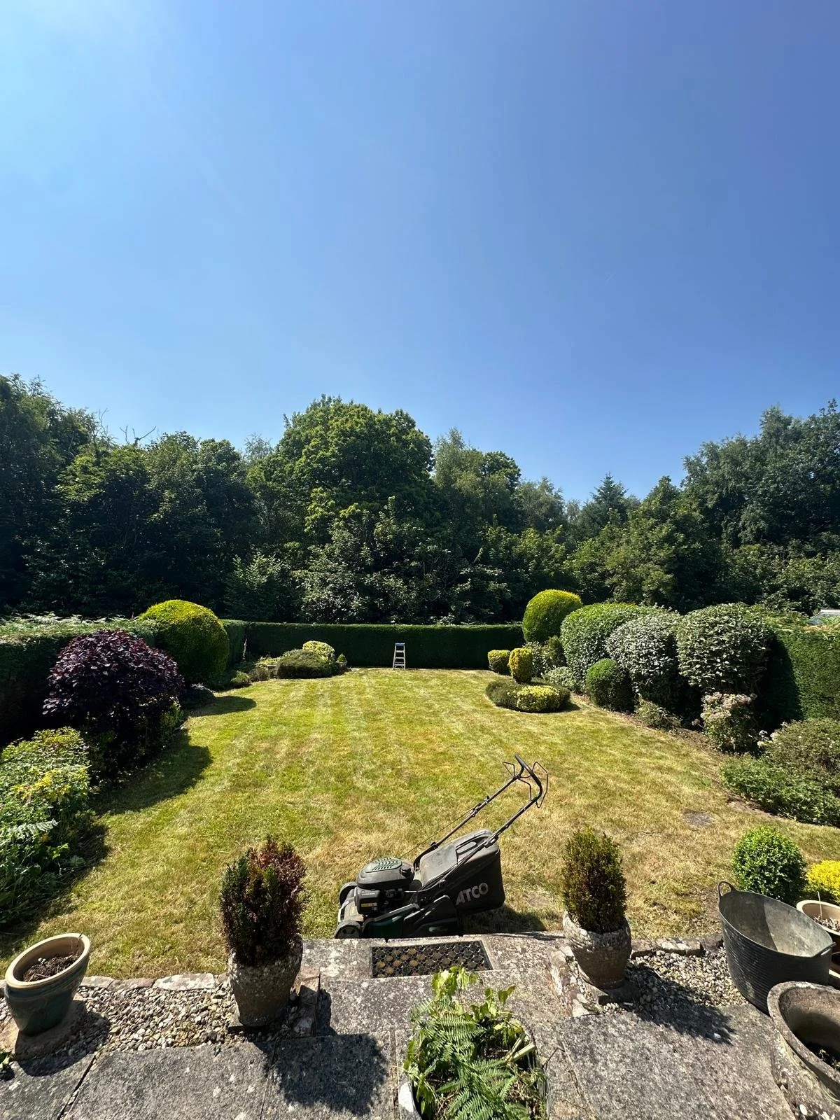 A backyard garden with neatly trimmed bushes and trees, a lawn mower, potted plants, and a bright blue sky.