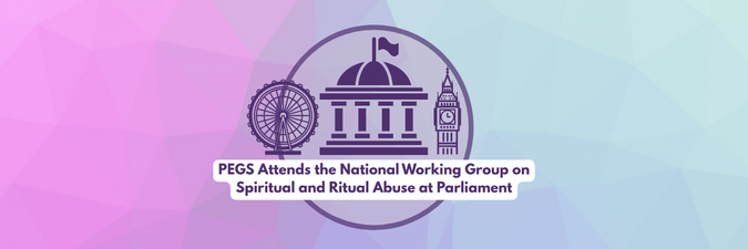 PEGS Attends the National Working Group on Spiritual and Ritual Abuse at Parliament
