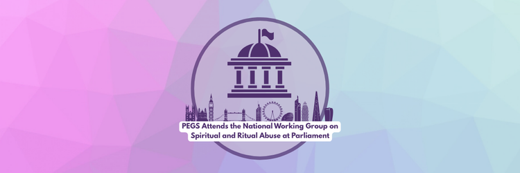 PEGS Attends the National Working Group on Spiritual and Ritual Abuse at Parliament