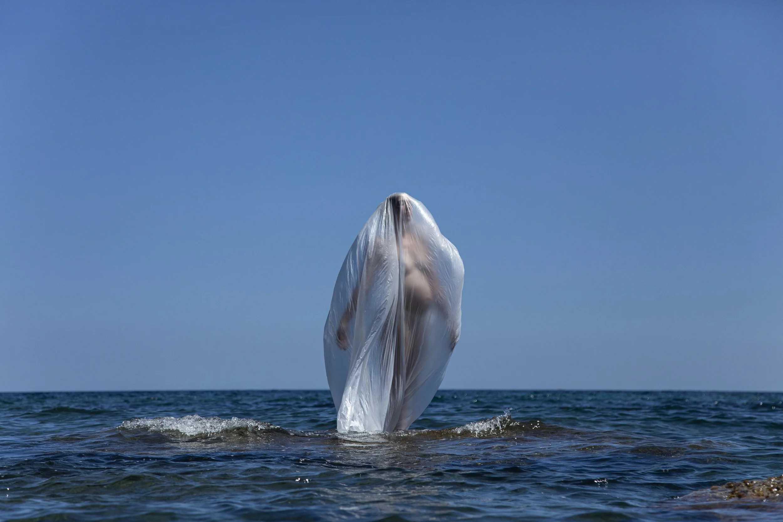 The Birth of Venus 2023