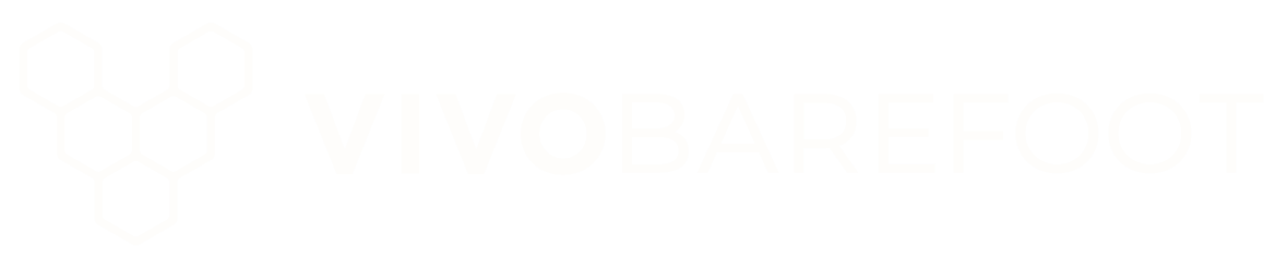 VB Logo White.png