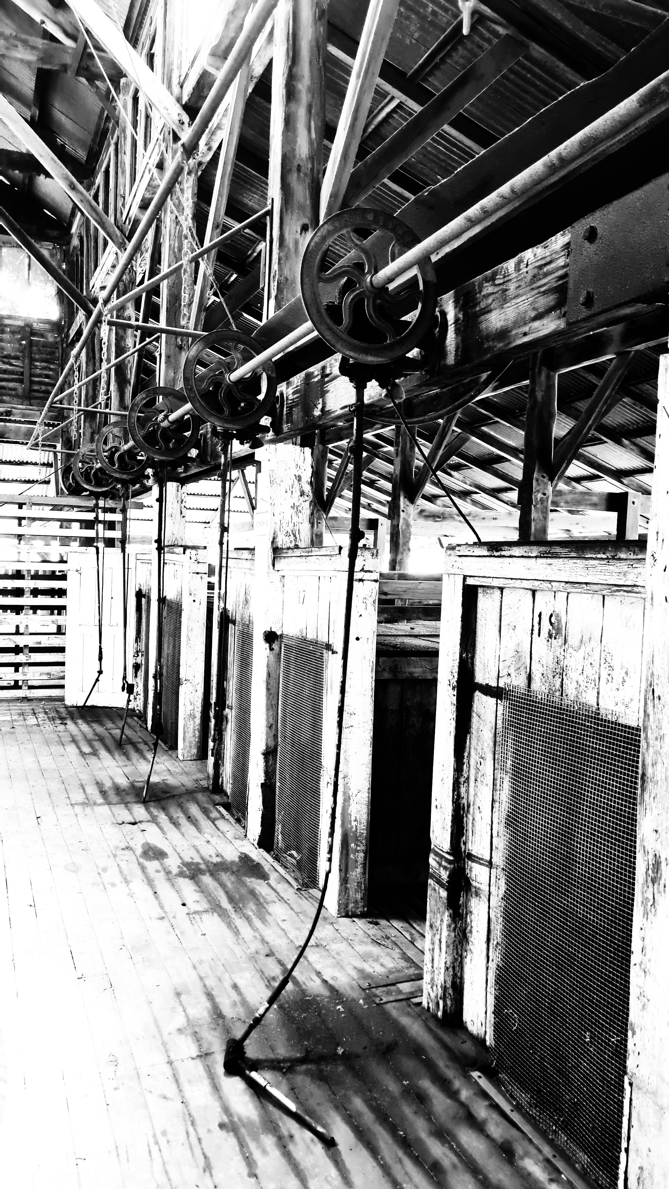 Inside a wooden barn with hay feeders, pipes, and farm equipment, black and white photograph.