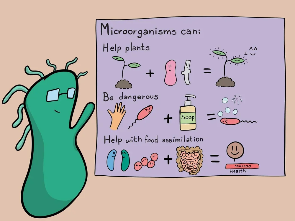 Exploring the Wonders of Microbiology: Inspiring Kids through Education