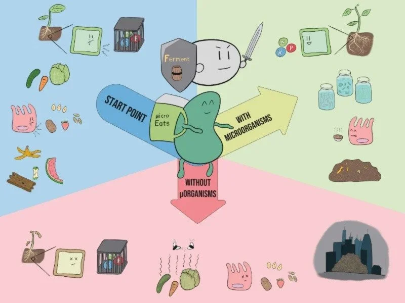 What if all microbes disappeared from the Earth?