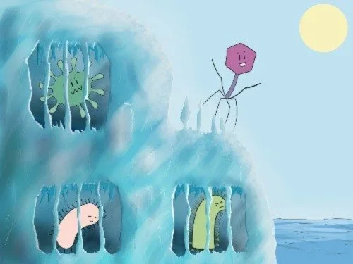 Frozen Microbes: Glaciers as Archives of Ancient Microbial Life