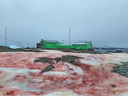 Blood Rain, Blood Snow: Curse or Science?