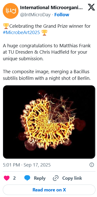 Composite image merging a Bacillus subtilis biofilm with a night shot of Berlin, showing a bacterial structure in orange and yellow against a black background.