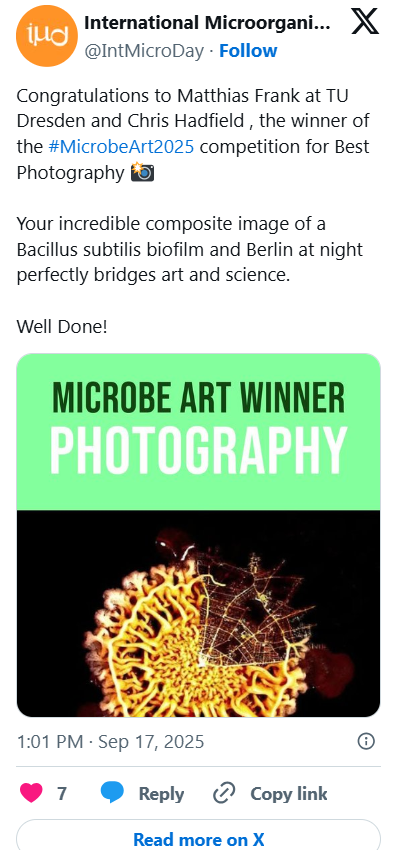 A microscopic image of a Bacillus subtilis biofilm with complex structures, highlighted in yellow and orange, against a dark background, awarded for Microbe Art Photography.