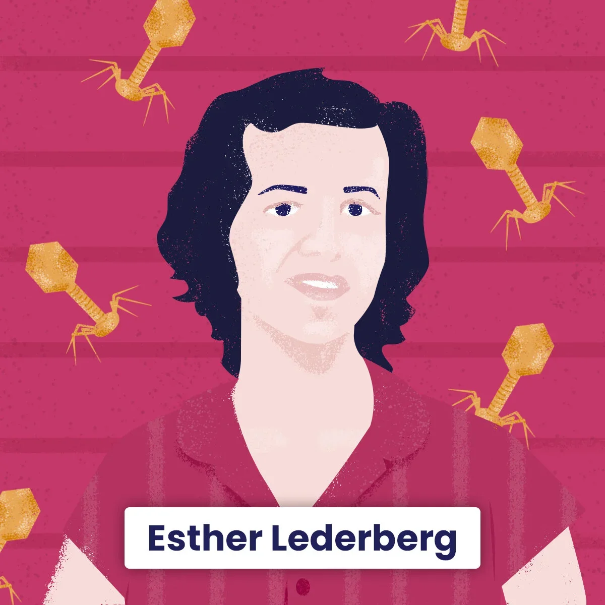 Women in Microbiology Illustrations