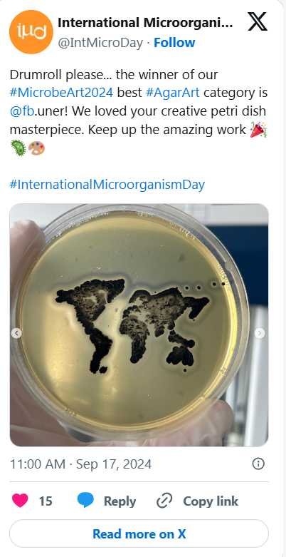 Petri dish with a world map drawn in microbial culture.