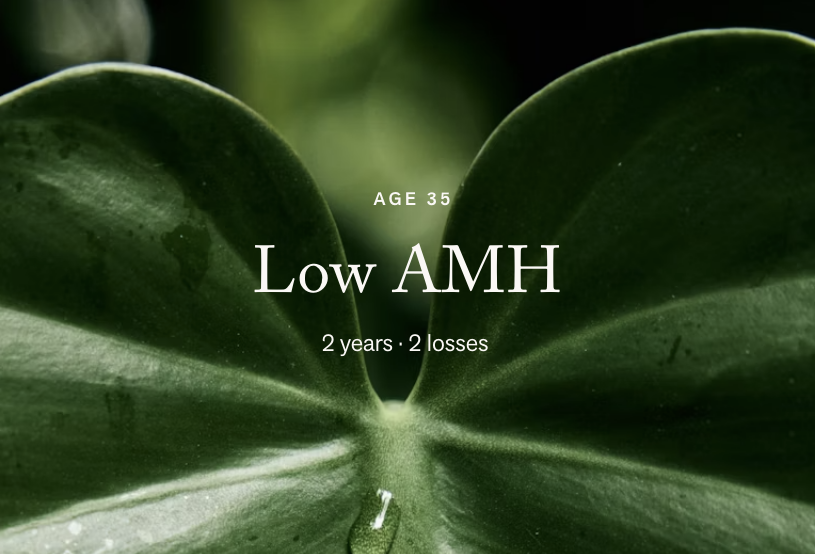 Low AMH · Done Everything Right