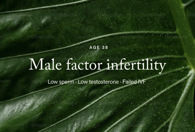Male Factor · Low Testosterone