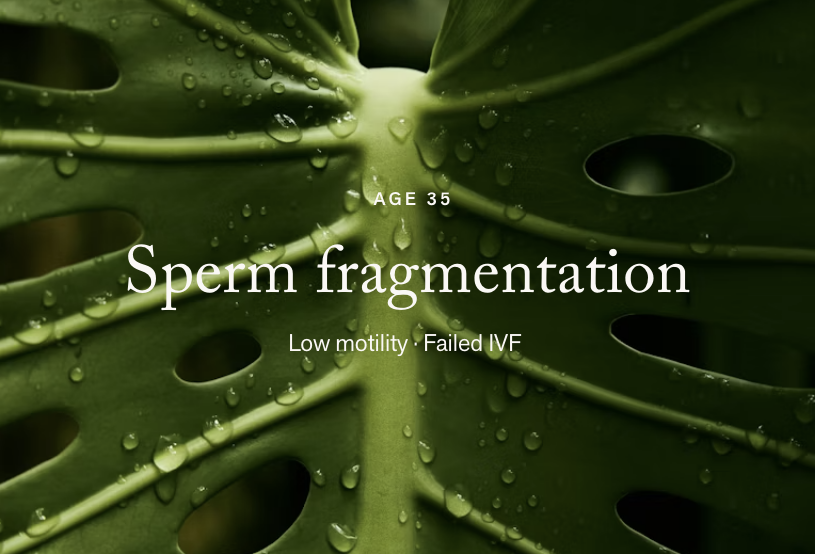Male Factor · Sperm Fragmentation