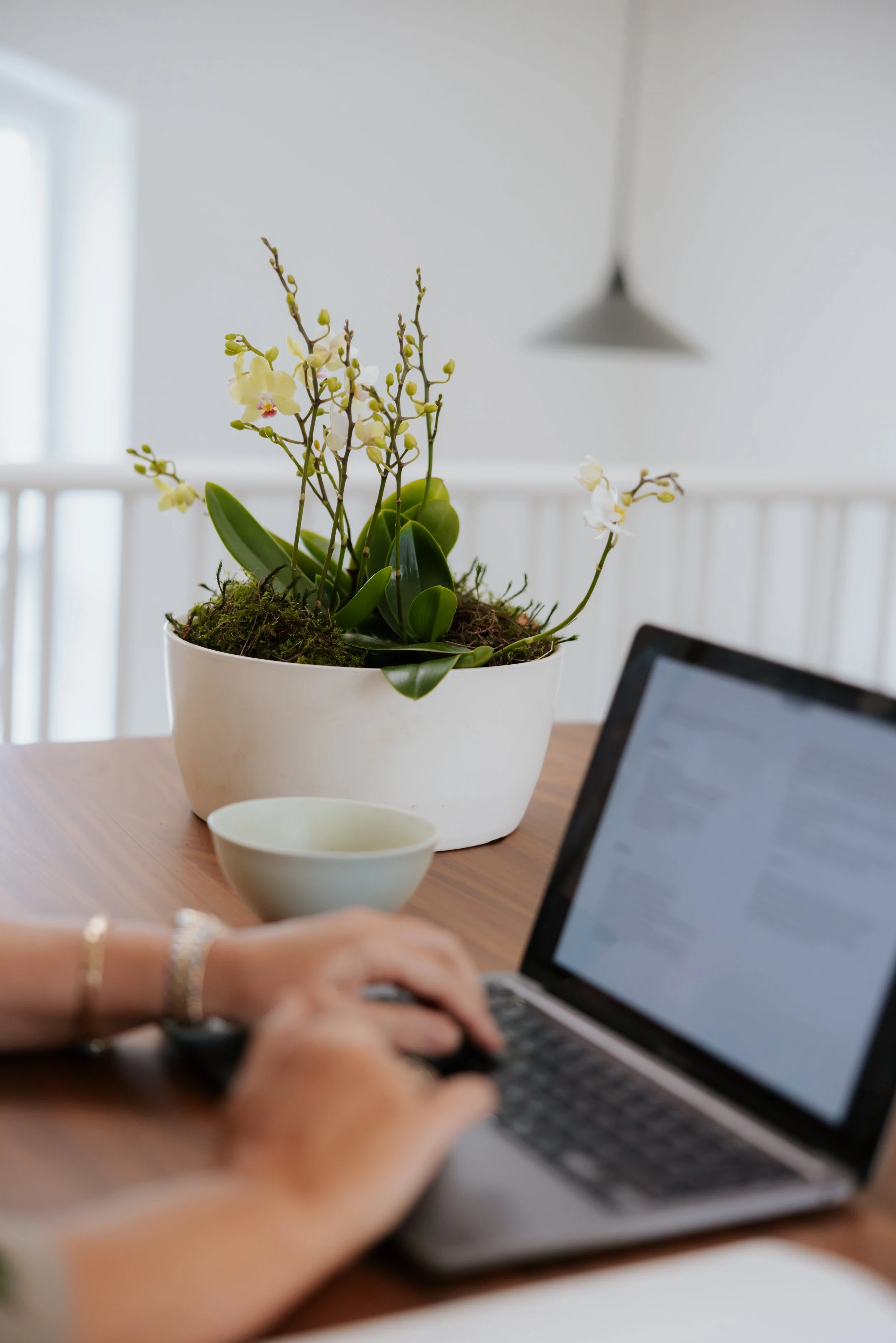 Person typing on a laptop at a desk with a white orchid plant, a small white bowl, and a mug, in a well-lit room with a window and a hanging light fixture.