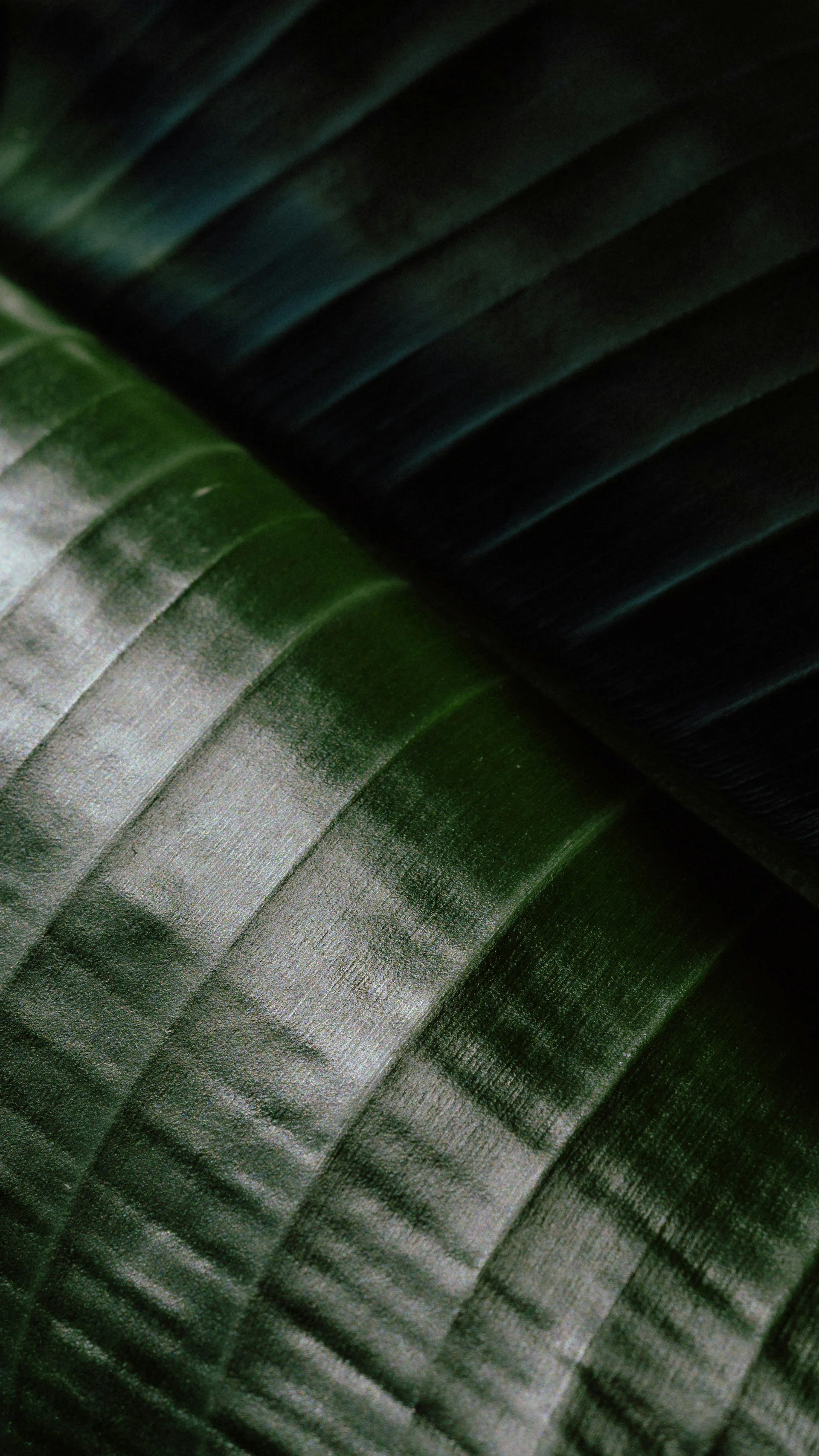 Close-up of a banana leaf showing textured green and dark green veins.