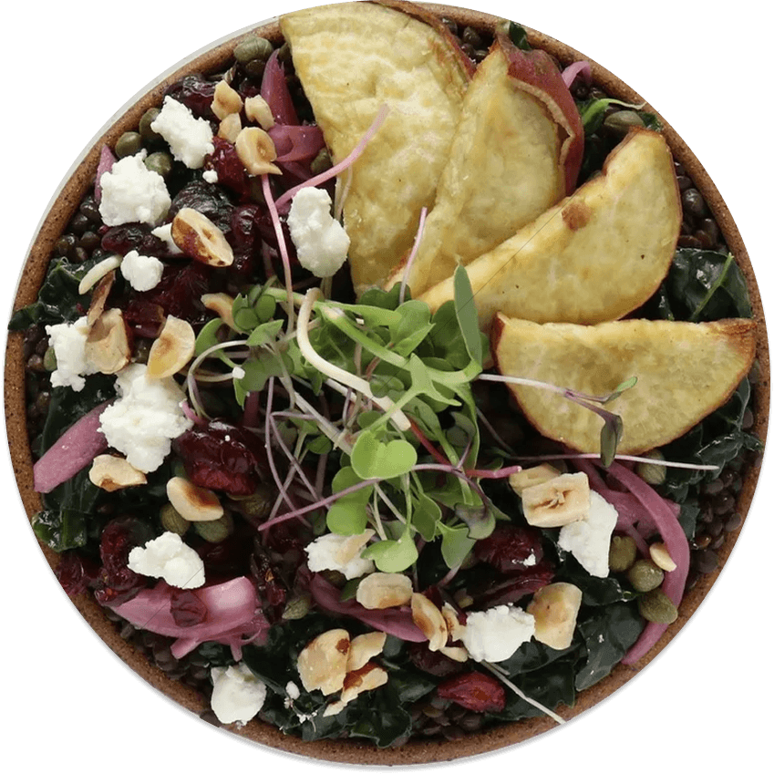 A bowl of salad with roasted apple slices, microgreens, crumbled feta cheese, toasted nuts, dried cranberries, and mixed greens.