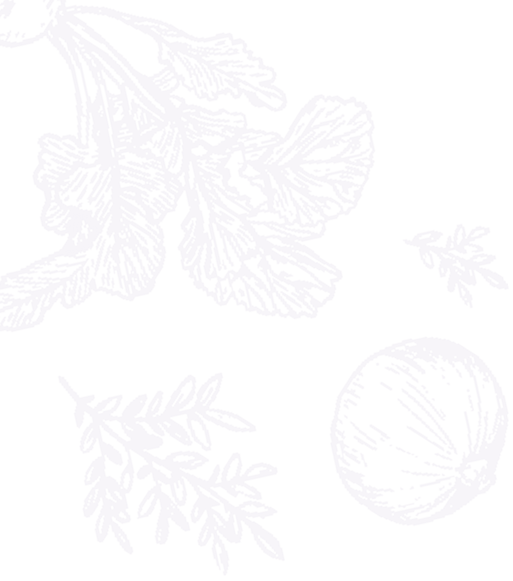 Illustration of a bunch of mint leaves and a round green onion, all in a light purple outline on a black background.