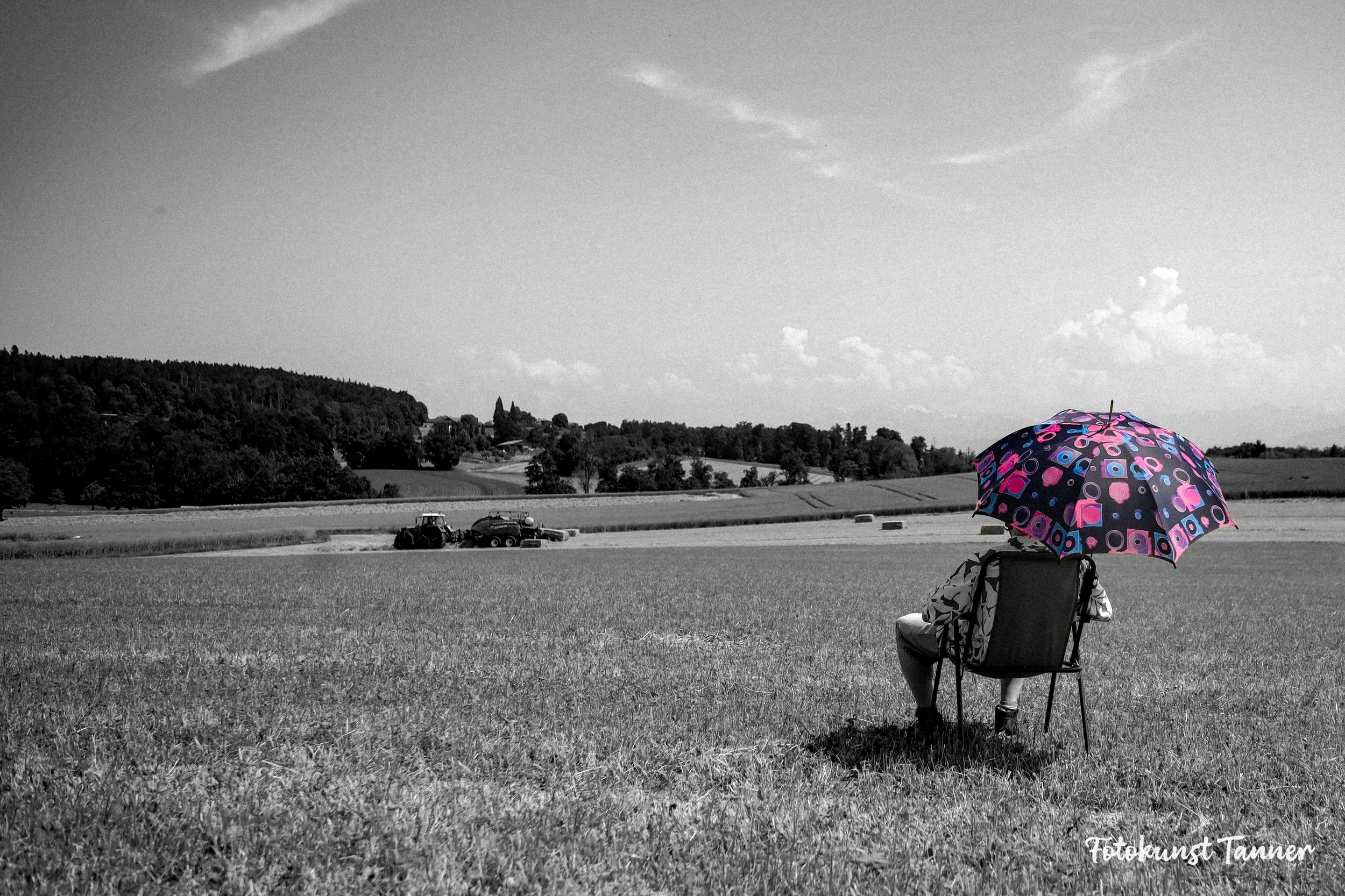 Der Farbklecks und die graue Welt