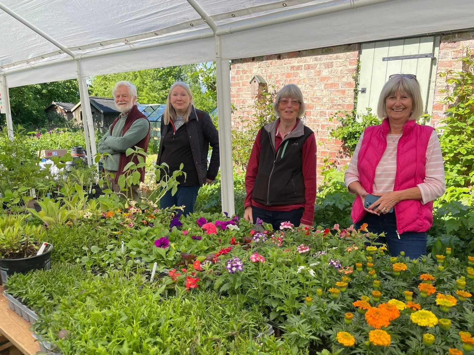 A Wonderful Community Plant Sale in Memory of Caroline Hall