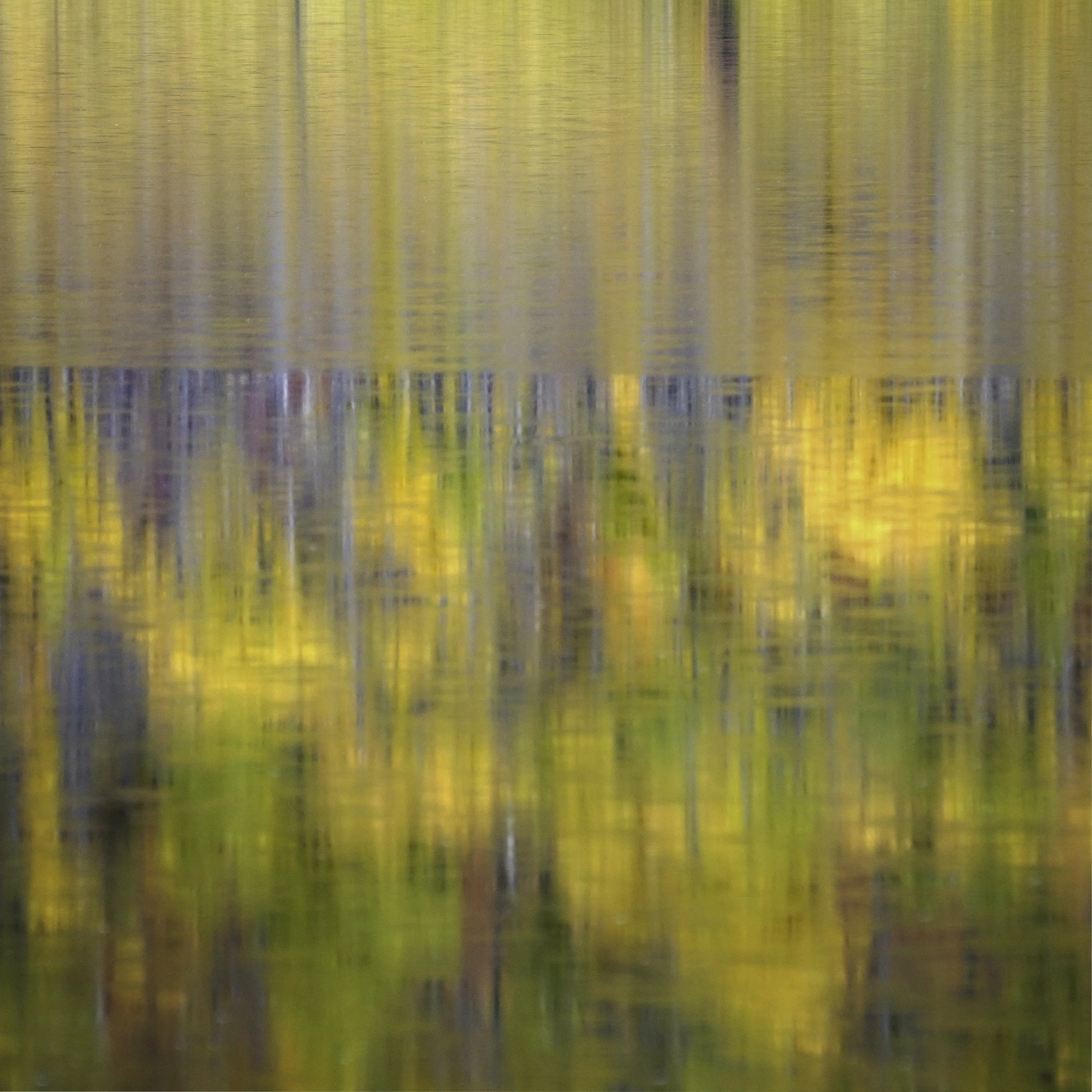 Autumn Current | Anna Booth