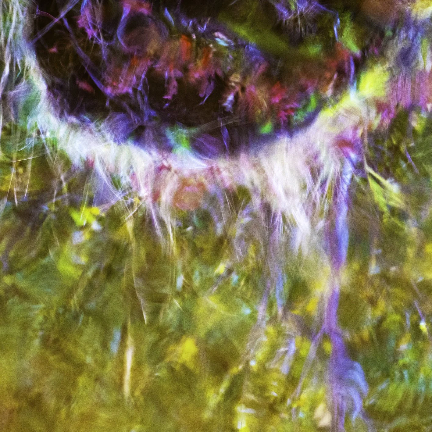 Fractured Nature | Anna Booth