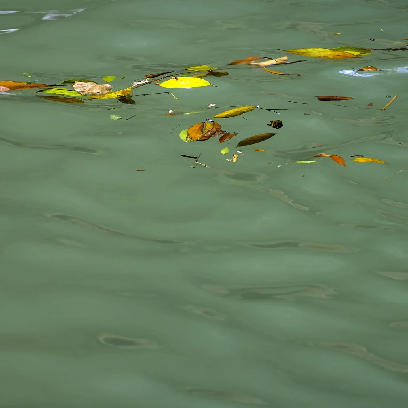Rolling River | Anna Booth