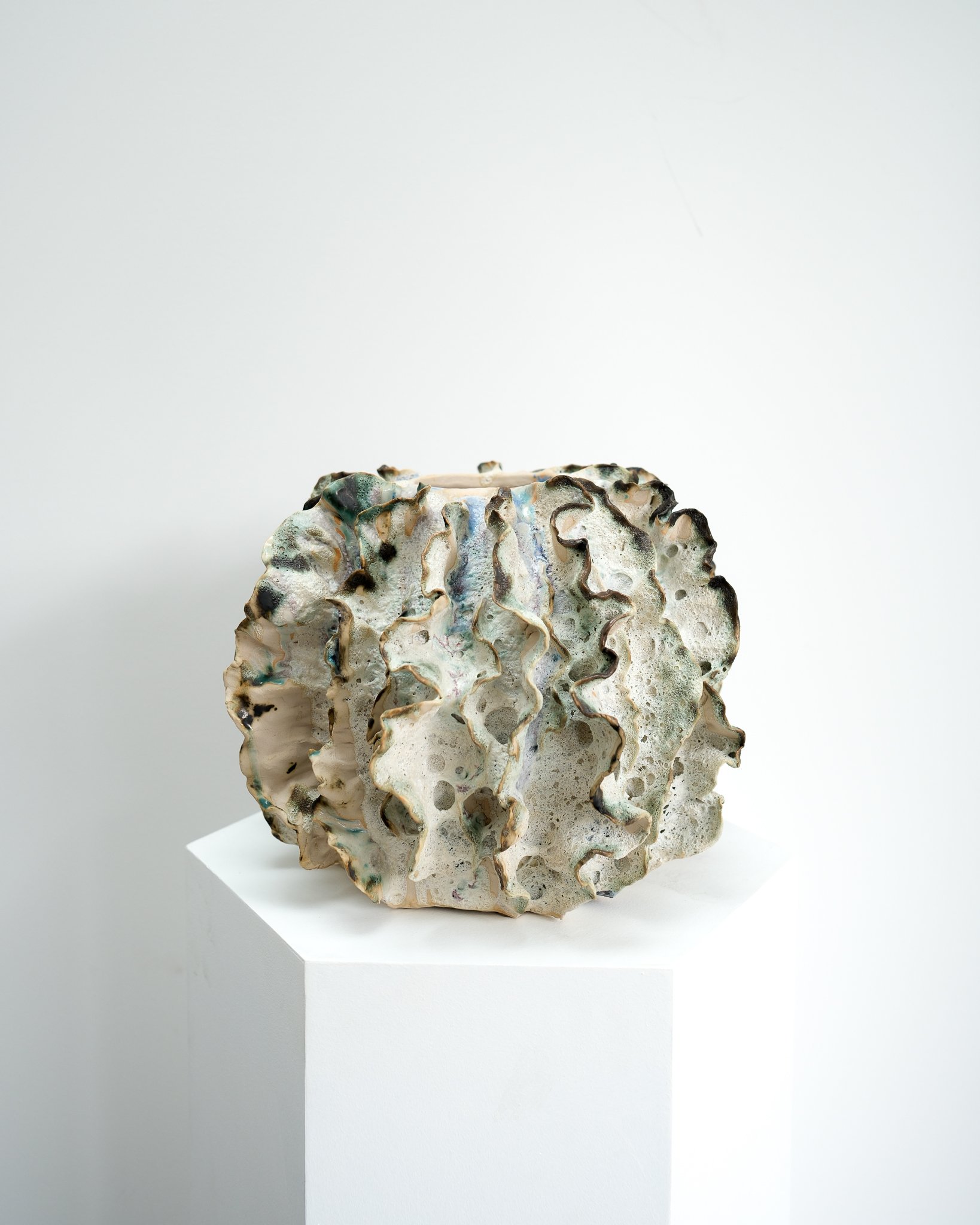 The Sea Urchin | Roz Wallis