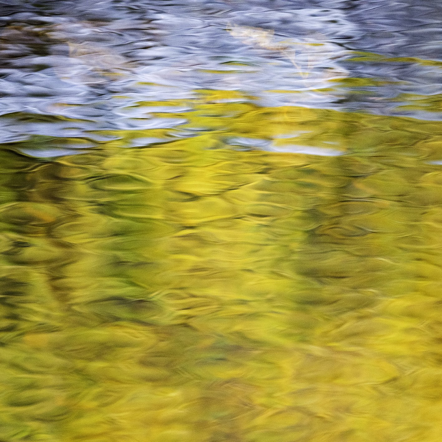 Amber Current | Anna Booth