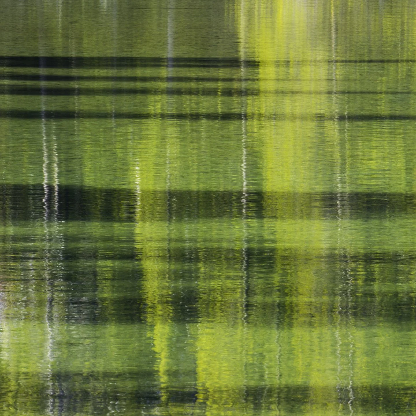 Tartan Lake | Anna Booth
