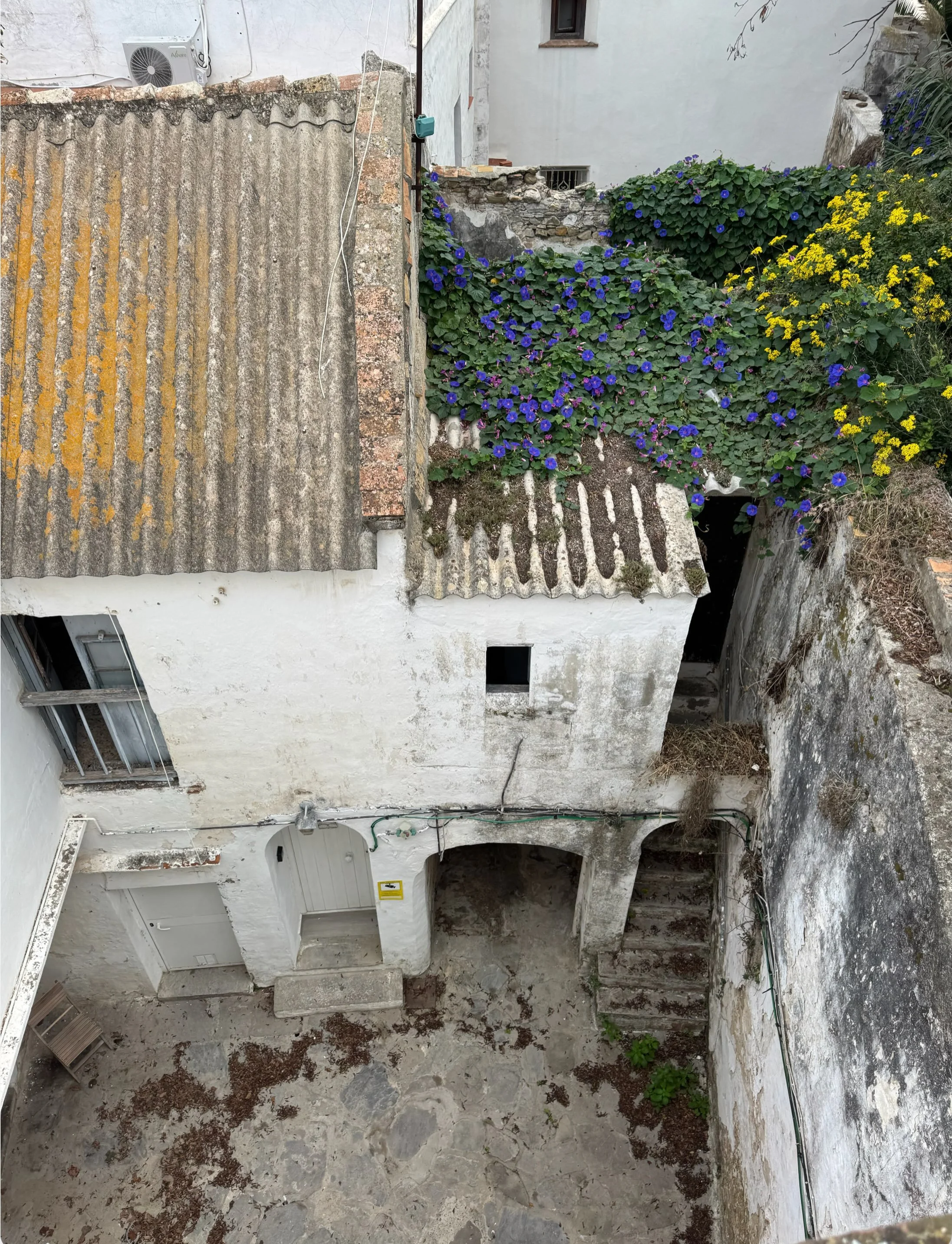 A courtyard, weathered walls, climbing flowers.

The beginning of something new.

Tarifa, Spain.