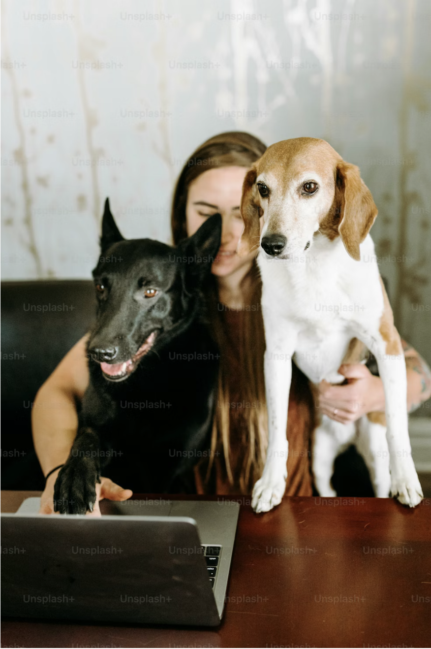 Screenshot 2026-04-19 at 11.59.27 AM.png