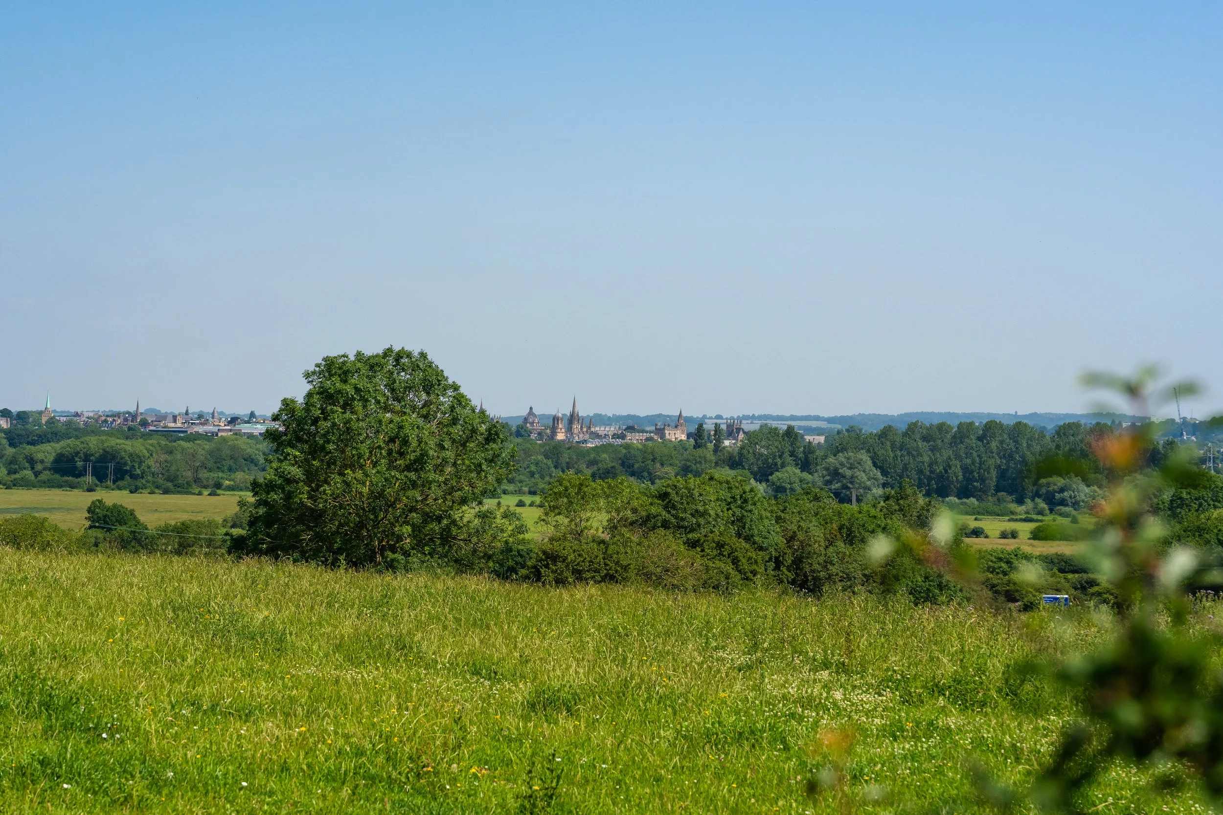 Hinksey Heights-07737.jpg