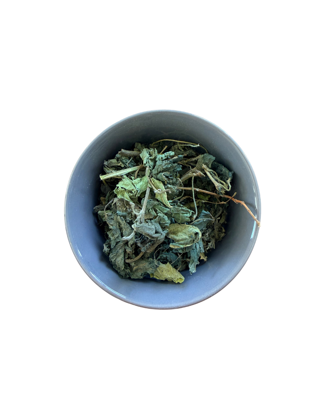 Feuille d'ortie