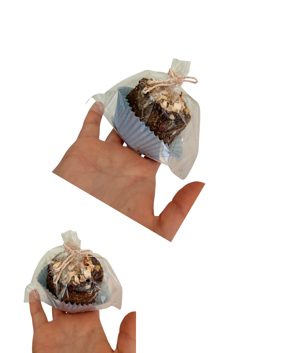 Design sans titre (66).png