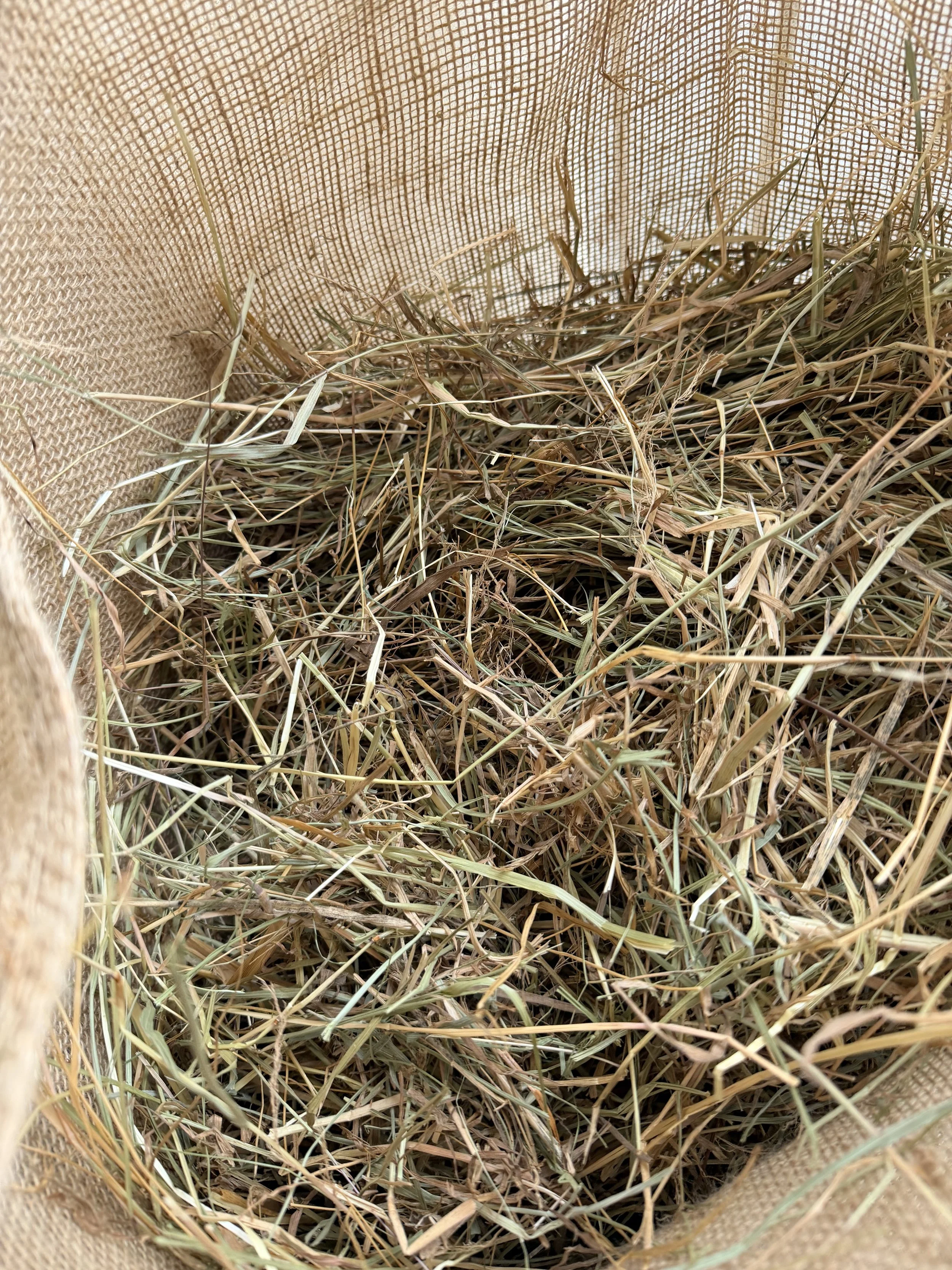 Foin de prairie 3kg