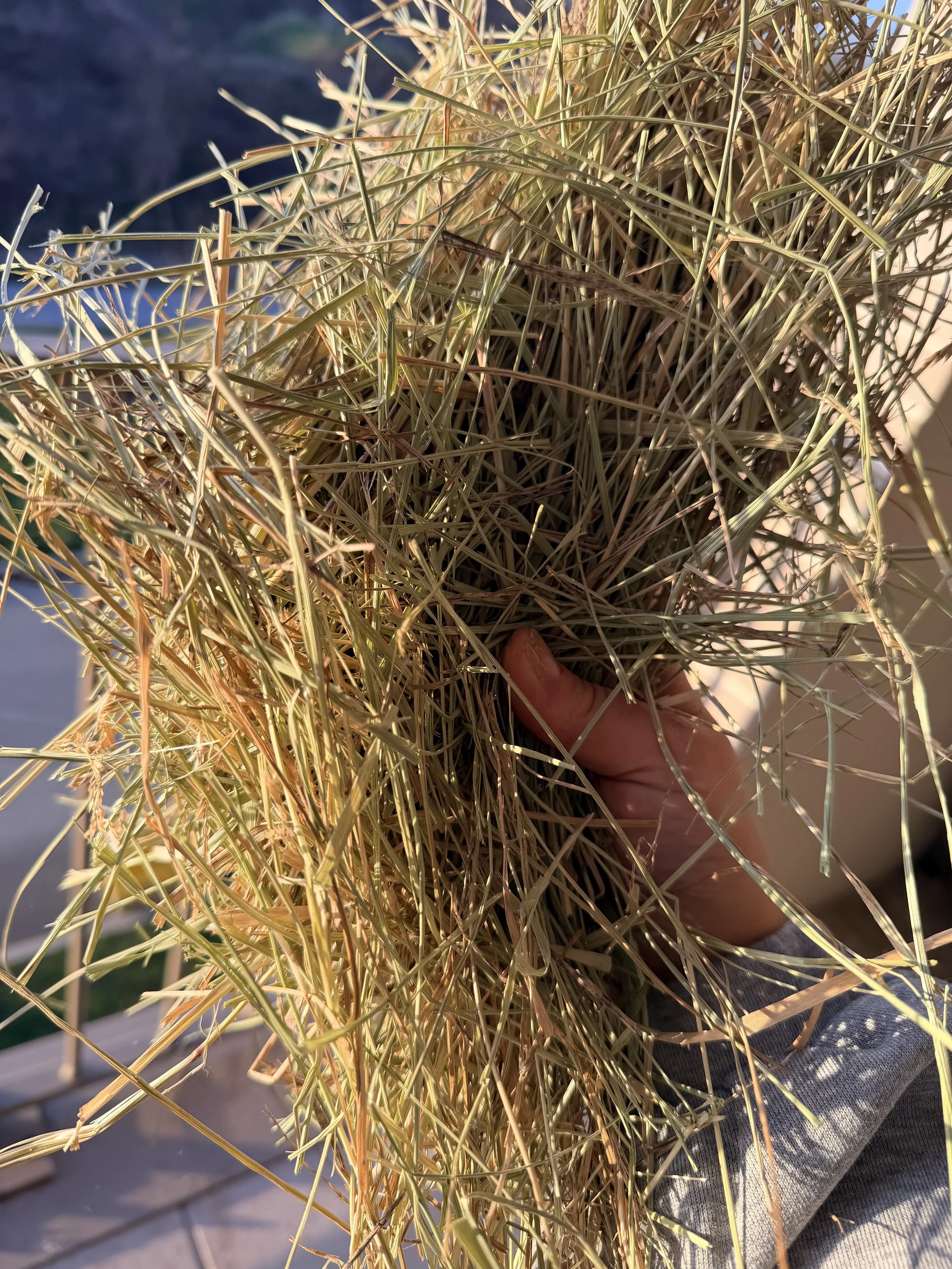 Foin de prairie 3kg
